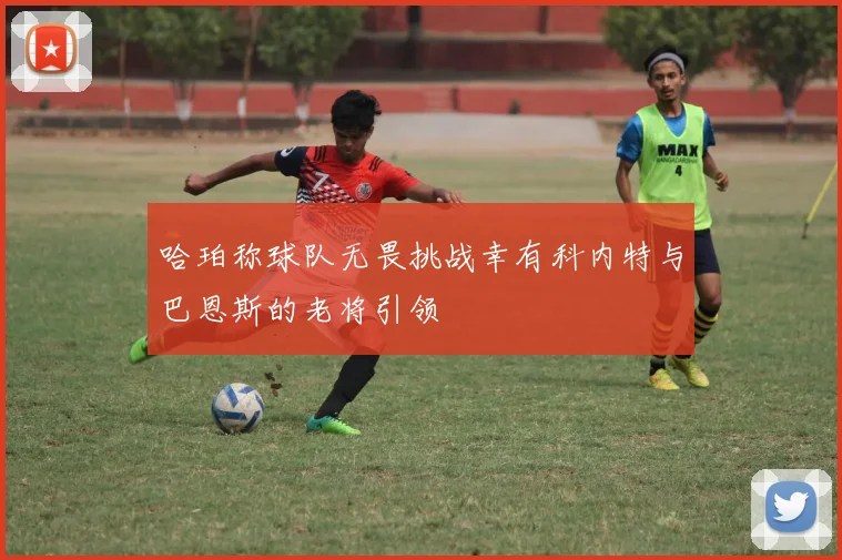 哈珀称球队无畏挑战幸有科内特与巴恩斯的老将引领
