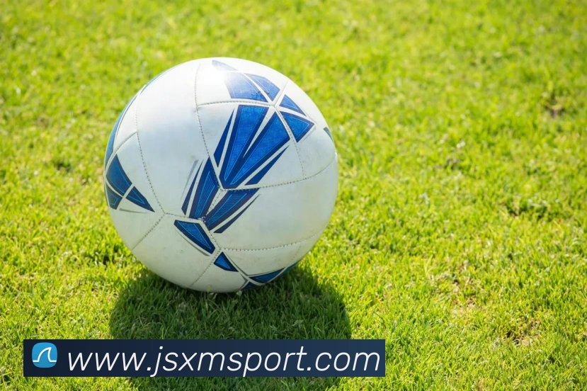 米兰app体育登录官网平台生态图