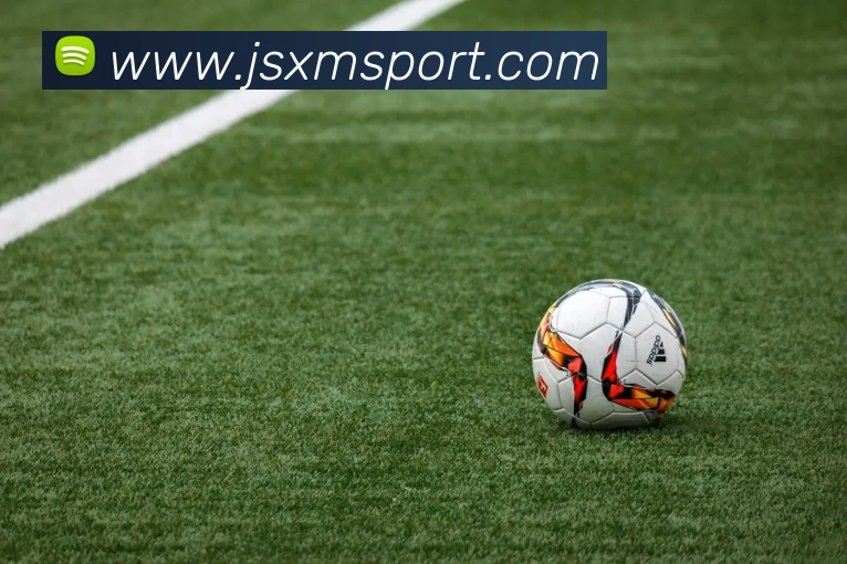 米兰app体育登录官网APP 封面图